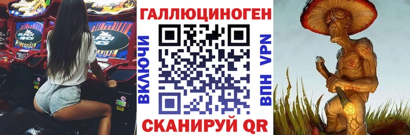 закладки  Костомукша  Галлюциногенные грибы Psilocybine cubensis 